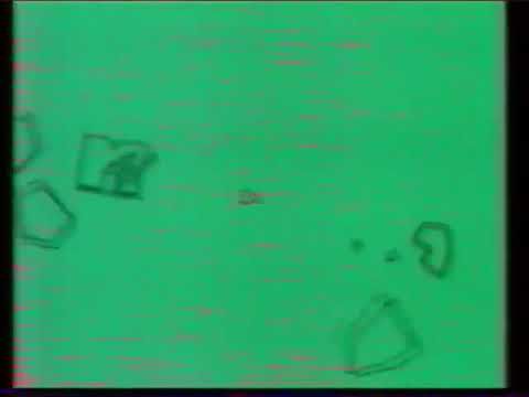 Рекламные заставки (MTV, декабрь 2000)