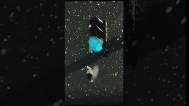 Toshkentda Qorni ❄🌨 Sog'inganlar Bormi :)