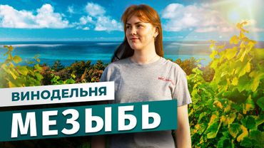 Усадьба Мезыбь: как рождается вино среди скал, моря и реликтовых сосен