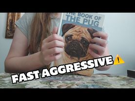 FAST and aggressive Tapping and Scratching ASMR 