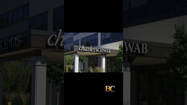 Charles Schwab profit surges on trading boom, asset growth