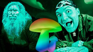 Я НЕ ИСКАЛ ЕГО, НО ОН НАШЕЛ МЕНЯ ► No, I'm not a Human #3 (Грибная концовка)