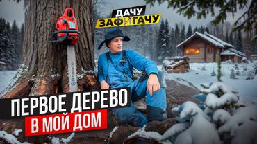 Строю дом без денег! Валю ГИГАНТСКОЕ дерево для моего дома мечты! (Дачу ЗАФИГАЧУ)