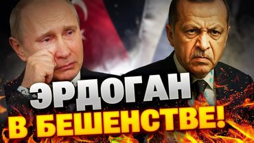 Эрдоган унизил Кремль! Новый план мира для Украины