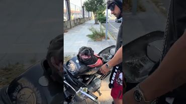 #хобби #собачники #мотоциклы #путешествия #отдых #увлечение #творчество #релакс #психология #хобі