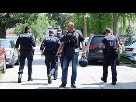 Nine killed in school shooting in Austria, authorities confirm