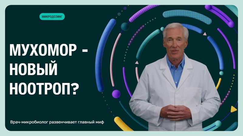МУХОМОР — НОВЫЙ НООТРОП? Врач-микробиолог развенчивает главный миф.