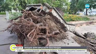 След мощната буря в Кюстендил: Десетки изкоренени дървета и повредени автомобили