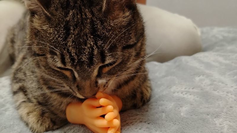 ДЕМЕНЦИЯ. Прохладно, недельный влог мама/подгузы/больно от слов