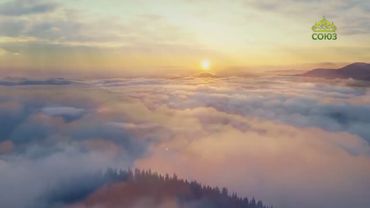 Стихи над миром. Стихотворения Зинаиды Миркиной и монаха Симеона Афонского