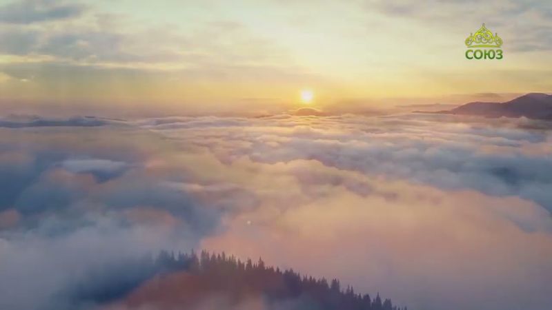 Стихи над миром. Стихотворения Зинаиды Миркиной и монаха Симеона Афонского