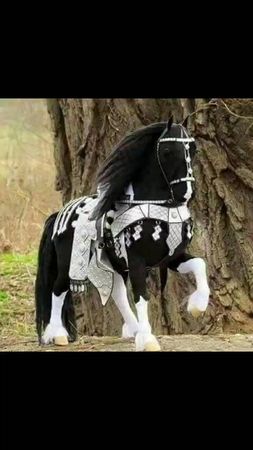 TikTok video #7049584473876352258