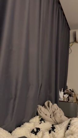 Cat voyeur 😼😼#funnycat #pet #fyp #funnyvideos #catsoftiktok #cute #ki...