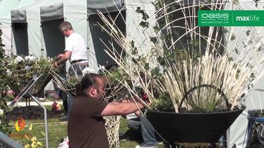 Europa Cup for Florists - Havirov (Czech Republic) 2011 Highlight Review