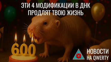 Кровь из пробирки. Новый ген долголетия. Cмерть чёрной дыры   рождение нейтрино. Новости QWERTY №355