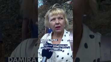 Izgorjele su masline, ali ne i ljubav prema zemlji