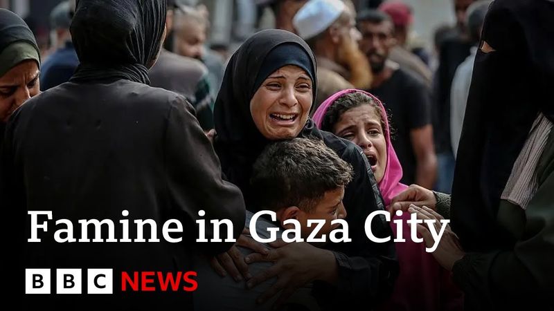 UN-backed report confirms famine in Gaza City | BBC News