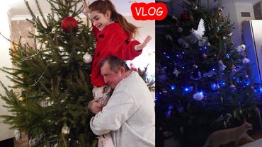 VLOG Украшаем ёлку с двумя папами