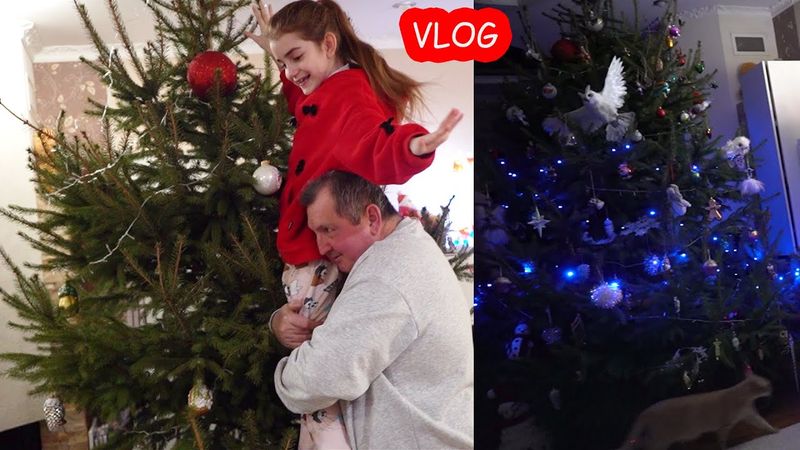 VLOG Украшаем ёлку с двумя папами