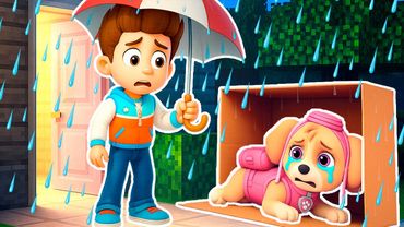 РАЙДЕР ПРИЮТИЛ БЕЗДОМНУЮ СКАЙ ЩЕНЯЧИЙ ПАТРУЛЬ в МАЙНКРАФТ