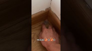 《民間守財法》最近是不是感覺錢總是溜走，不知道怎麼就沒了！你就這樣做！接了！轉發！功德無量！#國學文化 #道家文化 #中華文化 #民間傳說 #正能量 #運勢 #財運風水 #守財 #八方來財