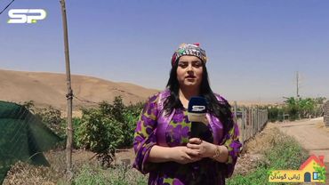 #الشعب_الصيني_ماله_حل😂😂 #akreuniversity #ژیانی_گوندان 