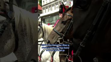 Na ulicama Zagreba odjekuje ponos