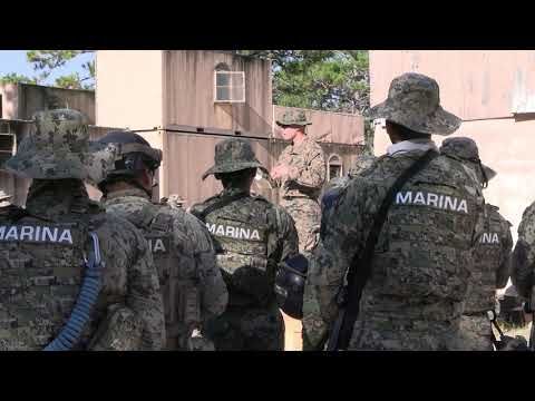 Urbanized Operations Training with U.S. Marines and Allied Forces
