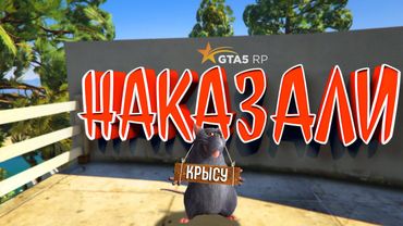 ОНИ МОГЛИ НАС ЖЕСТКО ПОДСТАВИТЬ В ГТА 5 РП ВЫЧИСЛИЛИ КРЫС В МАФИИ GTA 5 RP BURTON