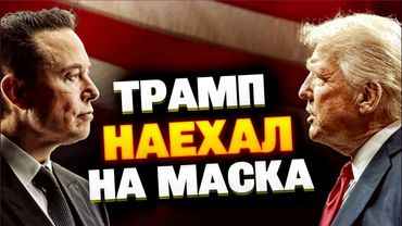 Михаил Шейтельман — о конфликте двух эго: Маск и Трамп никак не поделят Америку