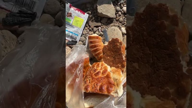 Тарзандар тиричилик кылып жаттат