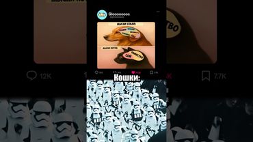 Кошки или собаки? 🐶🙀 #мем #мемы #memes