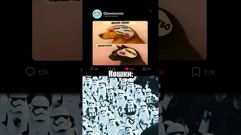 Кошки или собаки? 🐶🙀 #мем #мемы #memes