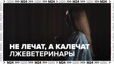 Не лечат, а калечат: как лжеветеринары и безграмотные грумеры подвергают питомцев опасности