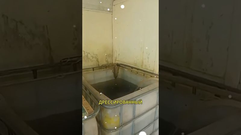 Карпонарий. Автор видео: @ribachok64