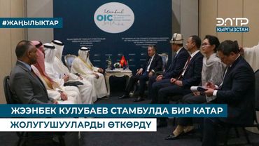 ЖЭЭНБЕК КУЛУБАЕВ СТАМБУЛДА БИР КАТАР ЖОЛУГУШУУЛАРДЫ ӨТКӨРДҮ