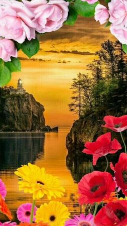 TikTok video #7032931529328282881