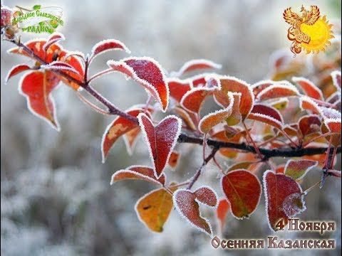 4-е ноября. Братья месяцы. Осенняя Казанская.