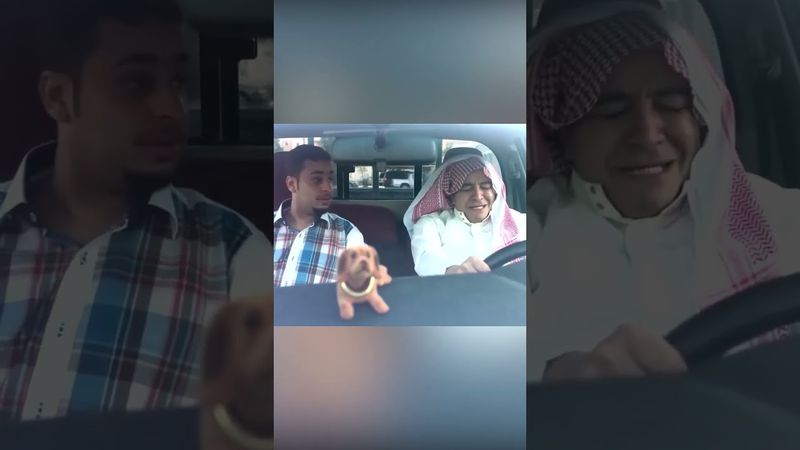 والله وراحت أيامك ياعامر وتركي صار يذلك 🤣😂