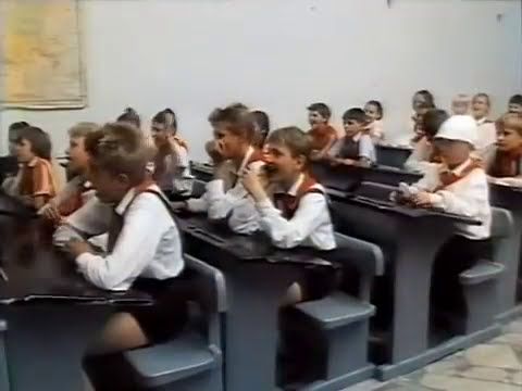 Фильм Анекдоты.  крокодил лег на Гальку