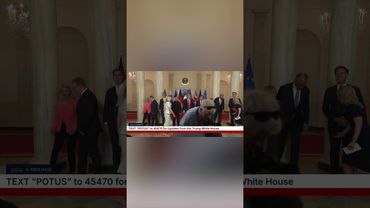 Трамп: Путин и Зеленский смогут найти общий язык для урегулирования