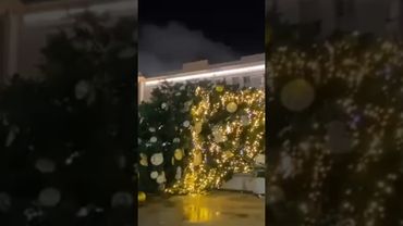 ЕЛКА УПАЛА В МОСКВЕ: Плохой знак для Путина? 🎄📉
