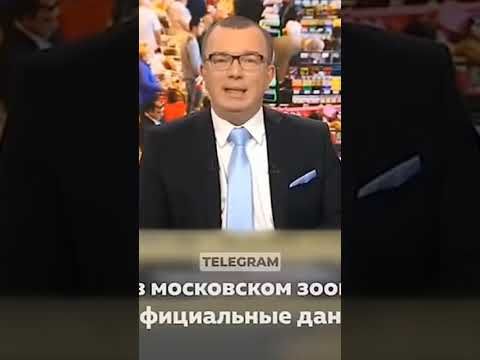 Уже не ёжик, но еще не ослик. Помните?😁 В 2017-м это видео было во всех смартфонах и планшетах.😀