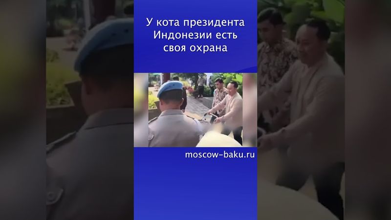 У кота президента Индонезии есть своя охрана