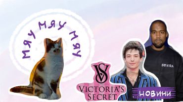 моя котомама змусила мене | blablabla новини