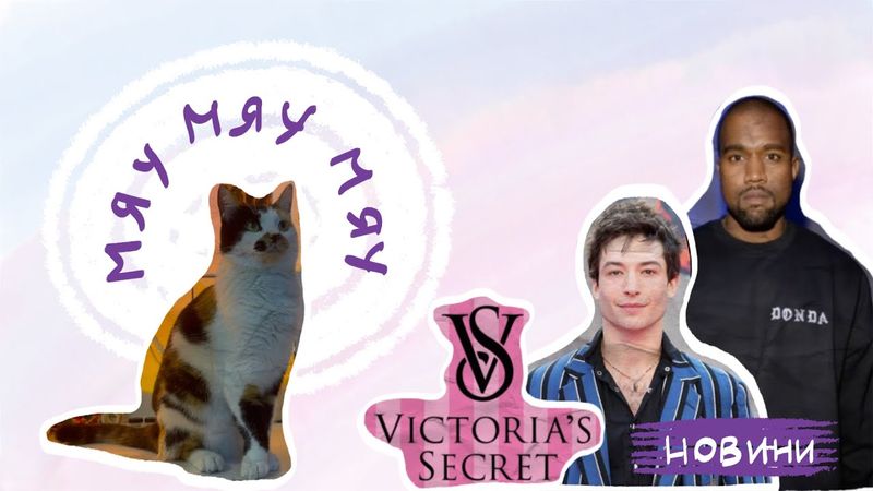 моя котомама змусила мене | blablabla новини