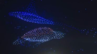 Marine creatures light up Nice sky ahead of UN summit on oceans | AFP