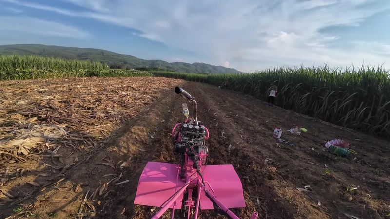 TikTok video #7531322480452062495