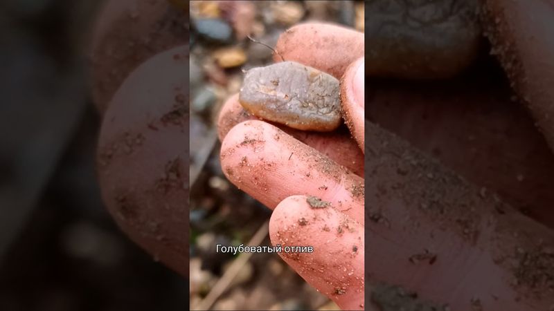 Моренные отложения - принесëнные ледником🌞🌞 Кварц, кварцит и местные окаменелости древней жизни😲🌿