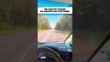 Не часто такое встретишь 👍🏻 🤯